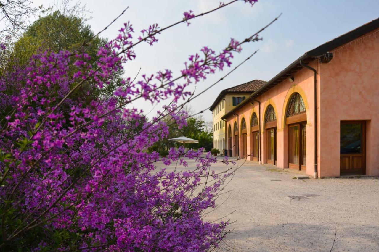 Agriturismo Rechsteiner Ponte di Piave Exterior photo